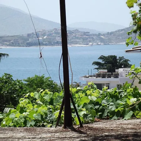 Dolphin * Sarandë