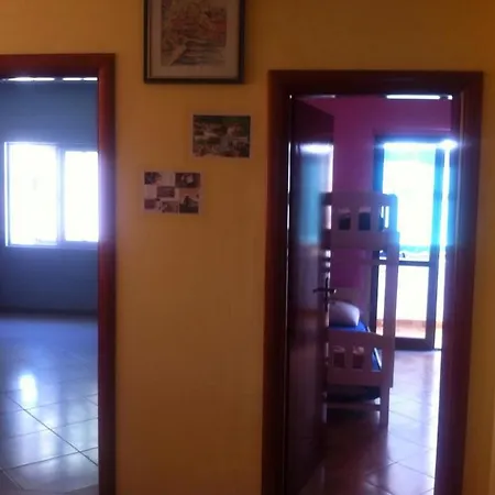 Hostel Dolphin *